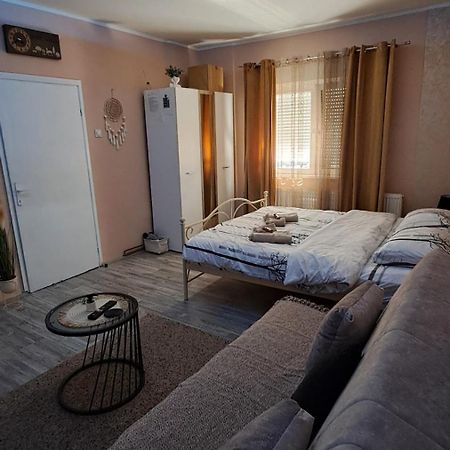Apartman Iva Zaječar Buitenkant foto