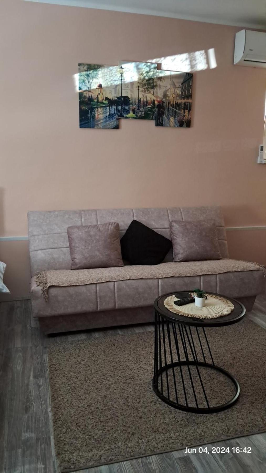 Apartman Iva Zaječar Buitenkant foto